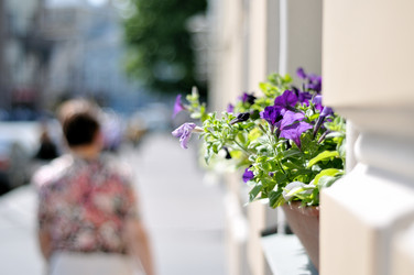 Similar image 7660549