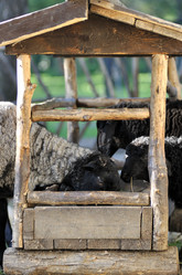 Similar image 7660581