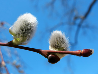 Similar image 7660605