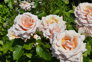 Similar image 7660611