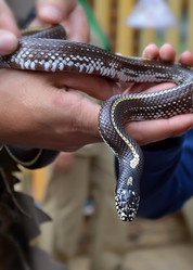 Similar image 7660612