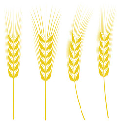 Similar image 7660704