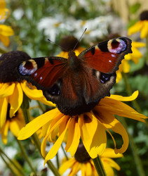 Similar image 7660731