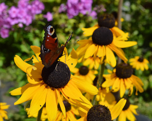 Similar image 7660732