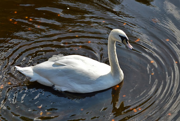 Similar image 7660733