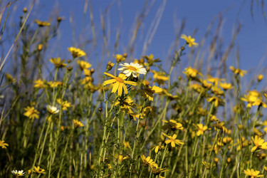 Similar image 7660747