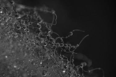 Similar image 7661139