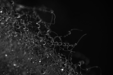 Similar image 7661140