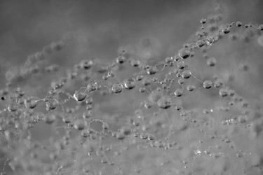 Similar image 7661141