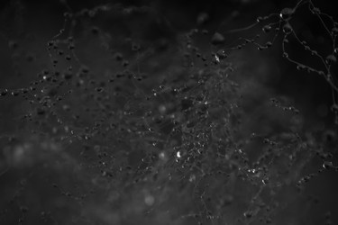 Similar image 7661143