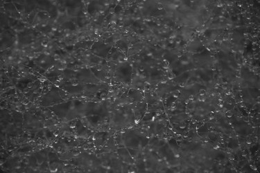 Similar image 7661154