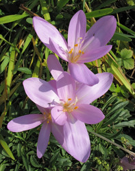 Similar image 7661155