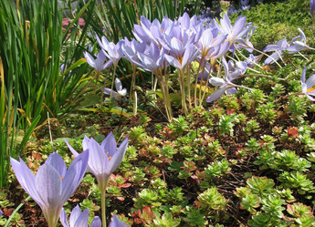 Similar image 7661156