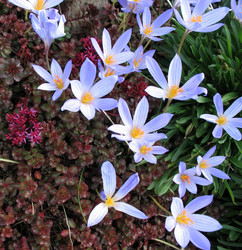 Similar image 7661157