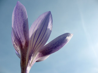 Similar image 7661158