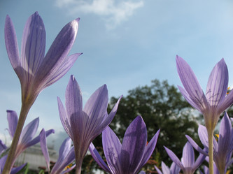 Similar image 7661160