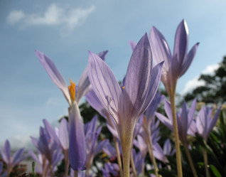 Similar image 7661161