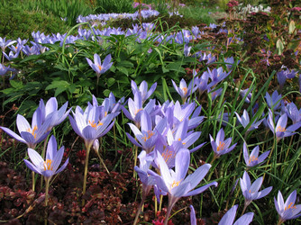 Similar image 7661162