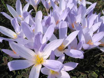 Similar image 7661164