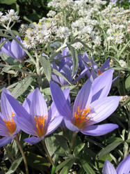 Similar image 7661165