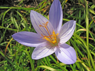 Similar image 7661170