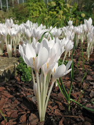 Similar image 7661174