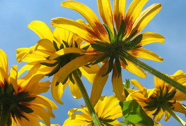 Similar image 7661175