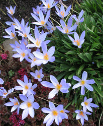 Similar image 7661176