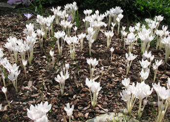 Similar image 7661177