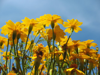 Similar image 7661178