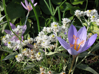 Similar image 7661180