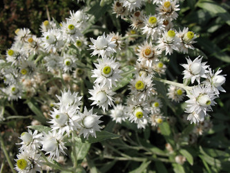 Similar image 7661182