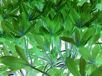 Similar image 7661183