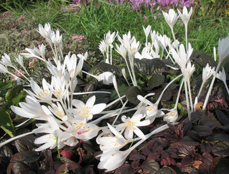 Similar image 7661187