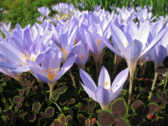 Similar image 7661188