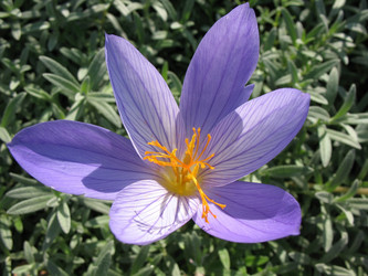 Similar image 7661191