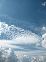 Similar image 7661198