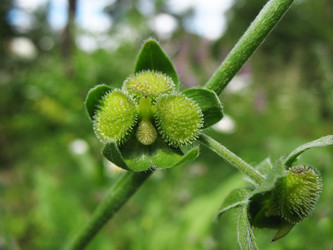 Similar image 7661216