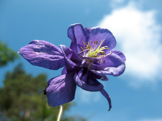 Similar image 7661218