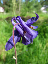 Similar image 7661219