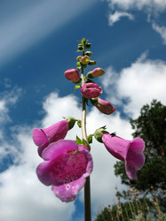 Similar image 7661220