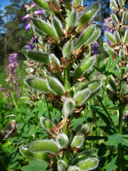 Similar image 7661222