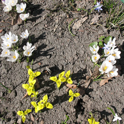 Similar image 7661223