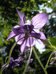 Similar image 7661224