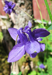 Similar image 7661225