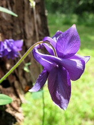 Similar image 7661232