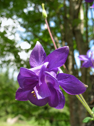 Similar image 7661233