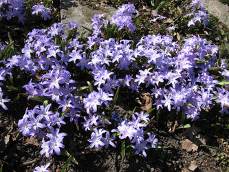 Similar image 7661235