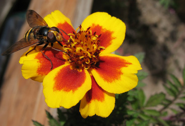 Similar image 7661243