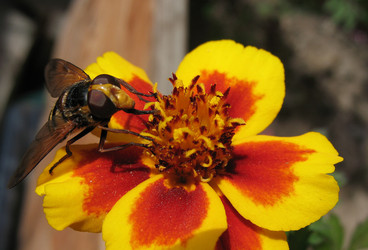 Similar image 7661254